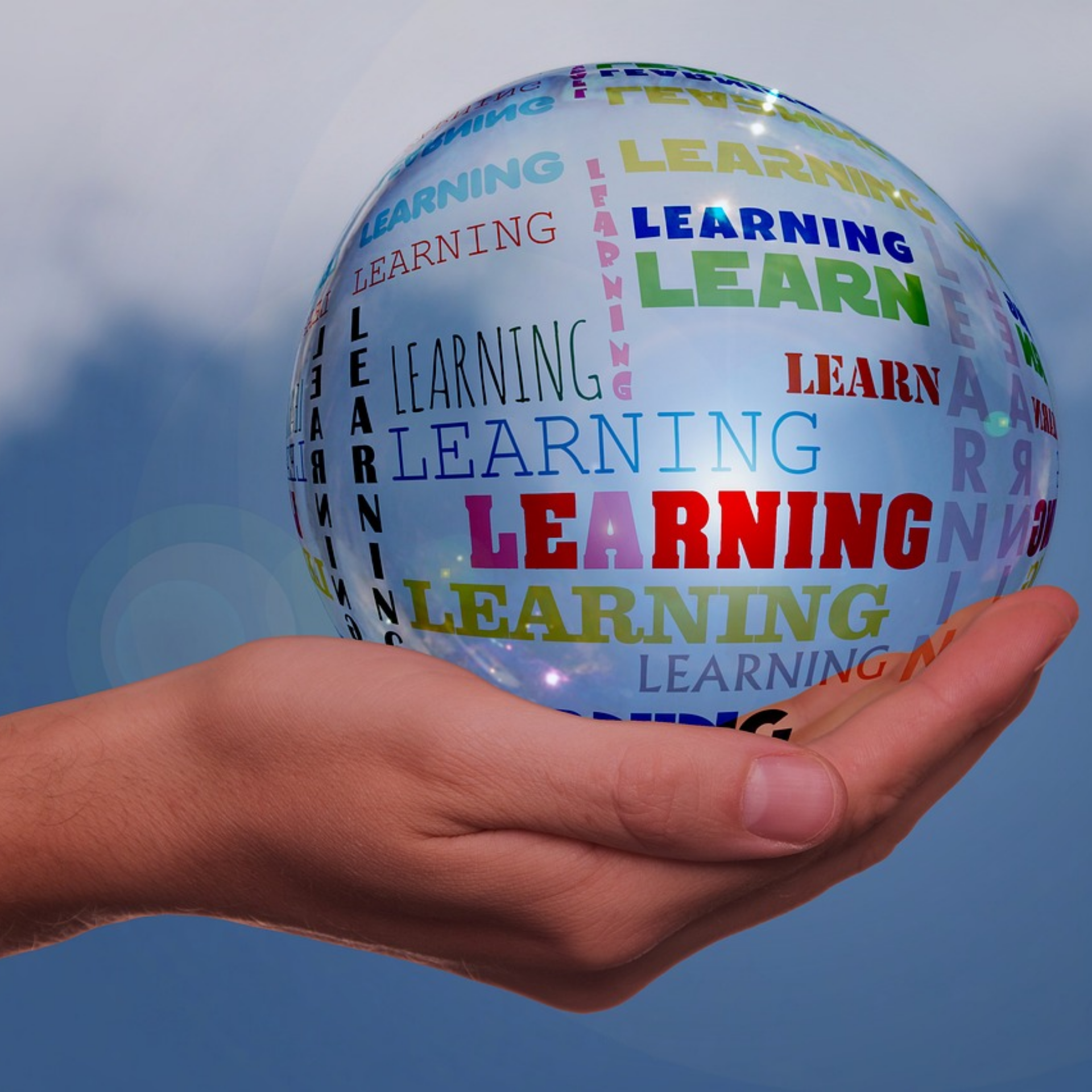 Training A hand holds a globe covered with the word learning.