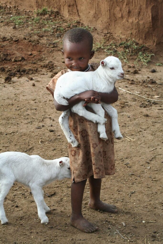 Our Work kid, africa, mutton, kenya, people, poverty, mutton, mutton, kenya, kenya, kenya, kenya, kenya, poverty, poverty, poverty