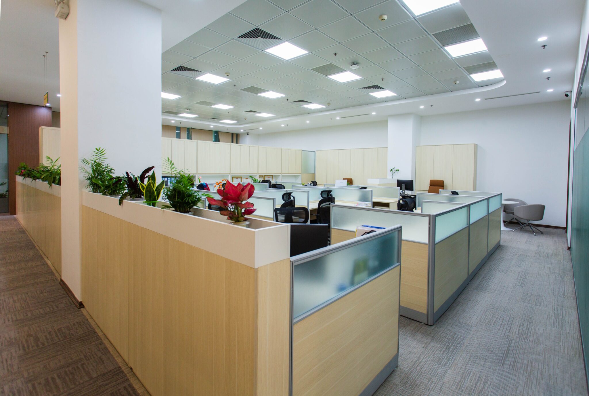 Build the Base Spacious and bright open office area with cubicles, plants, and contemporary design.